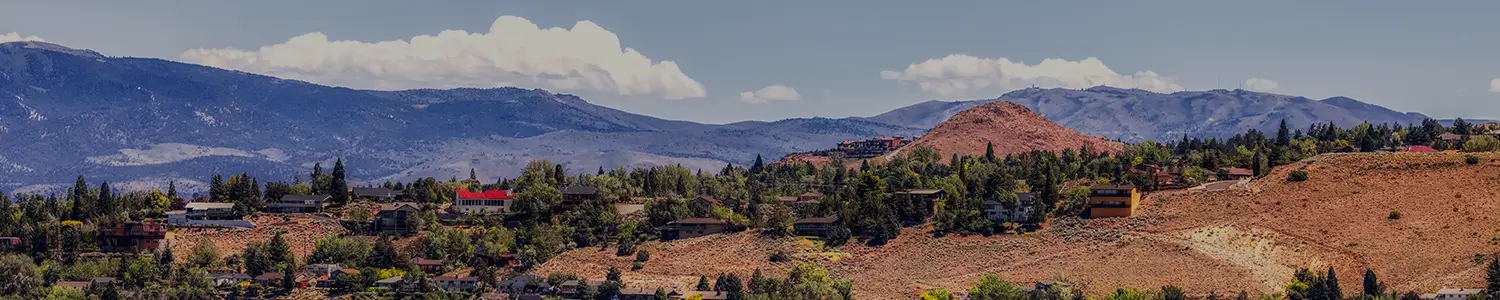 Banner image